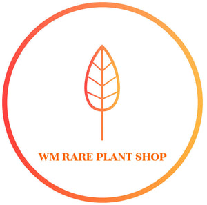 WM Rare Plant Shop